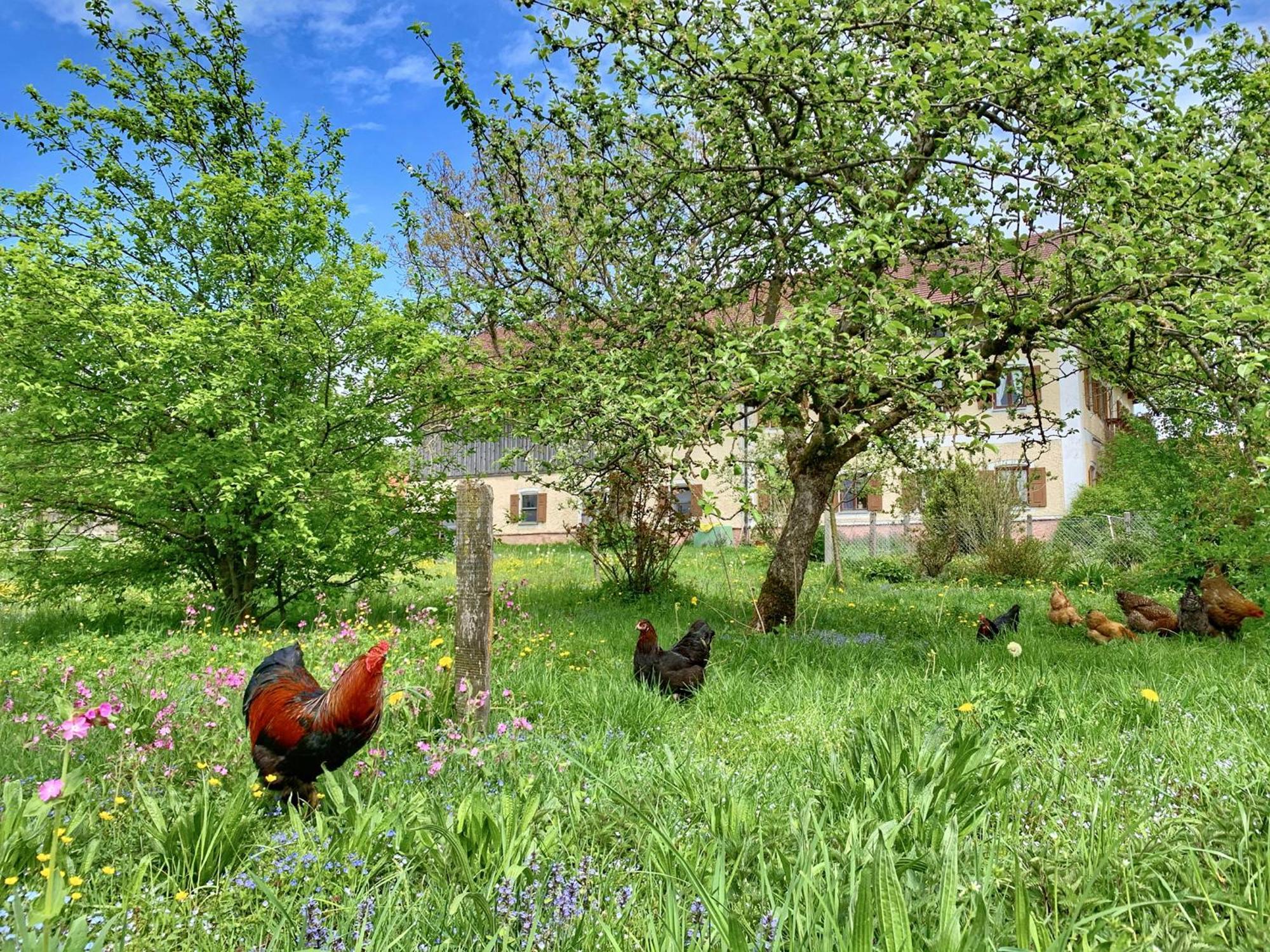 Bauernhof Geigerhof Villa Aschau im Chiemgau Buitenkant foto